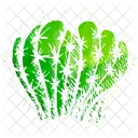 Desert Cactus  Icon