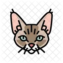 Devon Cat  Icon