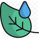 Dew Icon