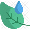 Dew  Icon