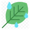 Dew Rain Nature Icon