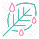 Dew Rain Nature Icon