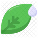 Dew  Icon