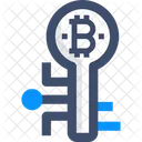 Digital Key Bitcoin Key Digital Key Icône