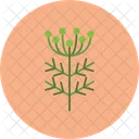 Dill Food Fennel Icon