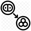 Division Cellulaire Transformation Cellulaire Reproduction Icône