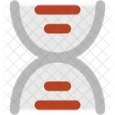 Dna Chain Helix Icon