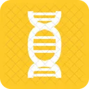 Dna Physiscal Biology Icon