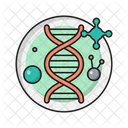 Dna  Icon