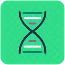 Dna Chain Helix Icon