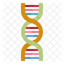 Dna  Icon