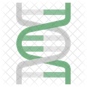 Dna  Icon