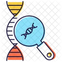 Dna Analysis Dna Strand Biology Testing Icon