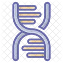 DNA Molecule  Icon