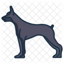 Doberman Doberman Pinscher Breed Icon