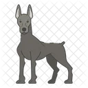 Doberman  Icon