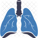 Doença pulmonar  Ícone