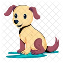 Pet Dog Puppy Icon