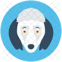 Dog  Icon