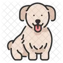 Dog Animal Pet Icon