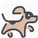 Animal Dog Pet Icon