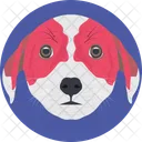 Dog  Icon