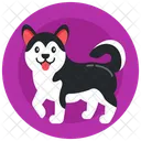 Animal Puppy Pet Icon