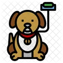 Dog  Icon