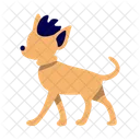 Dog  Icon