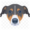 Dog  Icon