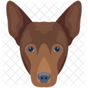 Dog  Icon