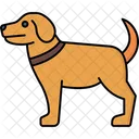 Dog  Icon