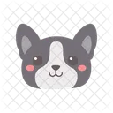 Dog  Icon