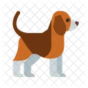 Dog  Icon