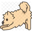 Dog Crawl Canine Symbol