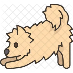 Dog  Icon