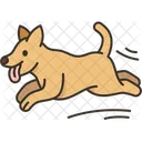 Dog Running Pet Icon