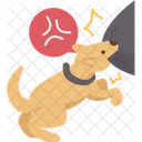 Dog  Icon