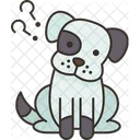 Dog  Icon