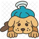 Dog  Icon