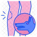 Dog bite  Icon