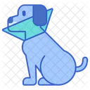 Dog Cone  Icon