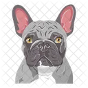 Dog Pet Cat Icon