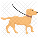 Dog Walking Walk Pet Icon