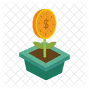 Dollar  Icon