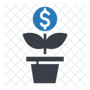 Dollar  Icon