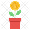 Dollar Plant  Icon