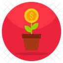 Dollar Plant  Icon