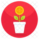 Dollar Plant  Icon