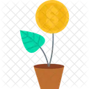 Dollar Plant Investment Money Plant Icon